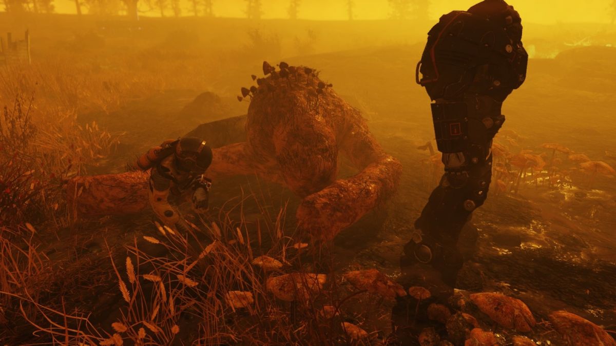Игроки Fallout 76 обходят ограничения в PvP с помощью ядерных бомб