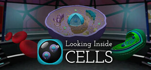 Looking Inside Cells