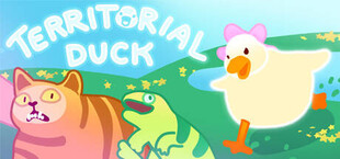 Territorial Duck