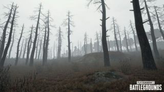 Подробности обновления для PlayerUnknown's Battlegrounds и тизер тумана