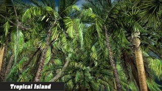 Island Simulator 2016