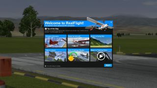 RealFlight 9.5S