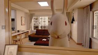 Follow the White Rabbit VR (화이트래빗)