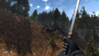 Forest spiders