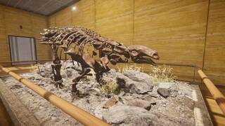Dinosaur Fossil Hunter: Prologue