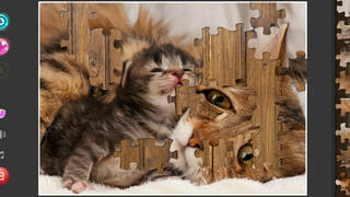 Cat's Life Jigsaw Puzzles