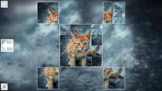 Puzzle Art: Cats