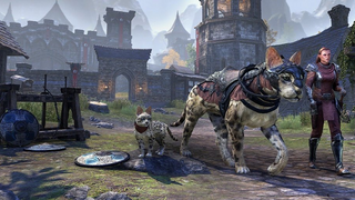 Подробности нового DLC Firesong для The Elder Scrolls Online будут раскрыты на этой неделе