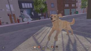 Dog Walking Simulator