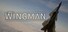 Project Wingman