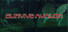 Survive Avalon