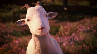 Goat of Duty — Шутер про боевых коз вступает в закрытую бету