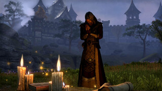 Игрок The Elder Scrolls Online построил святыню в память об умершей собаке