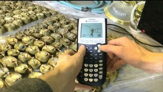 Игрок запустил DOOM на калькуляторе, работающем от обыкновенной картошки