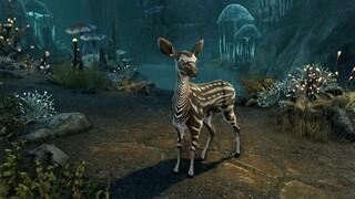 The Elder Scrolls Online — Бесплатный сброс параметров персонажа и питомец в подарок