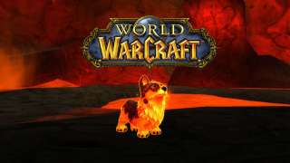Игрок достиг 110 уровня в World of Warcraft на битвах питомцев