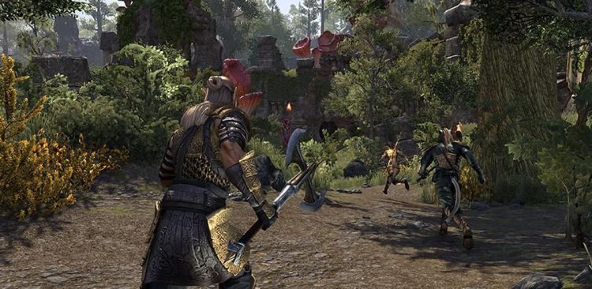 Детали новых батлграундов в The Elder Scrolls Online