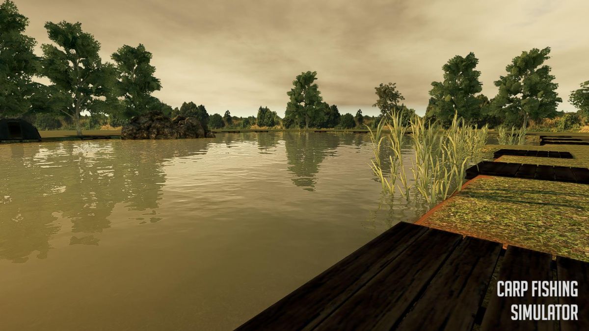 Скриншот 5 к игре Carp Fishing Simulator
