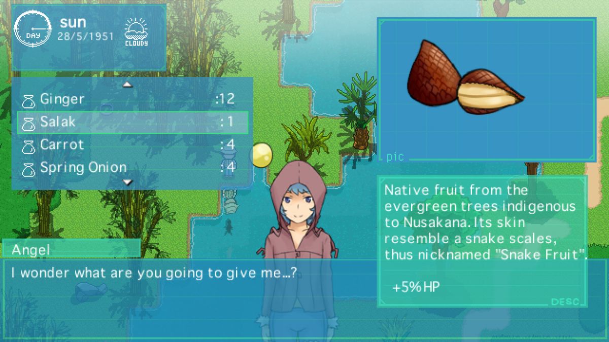 Скриншот 6 к игре Nusakana