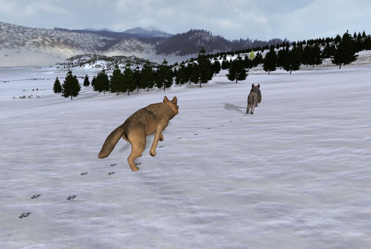 Скриншот 7 к игре WolfQuest: Classic