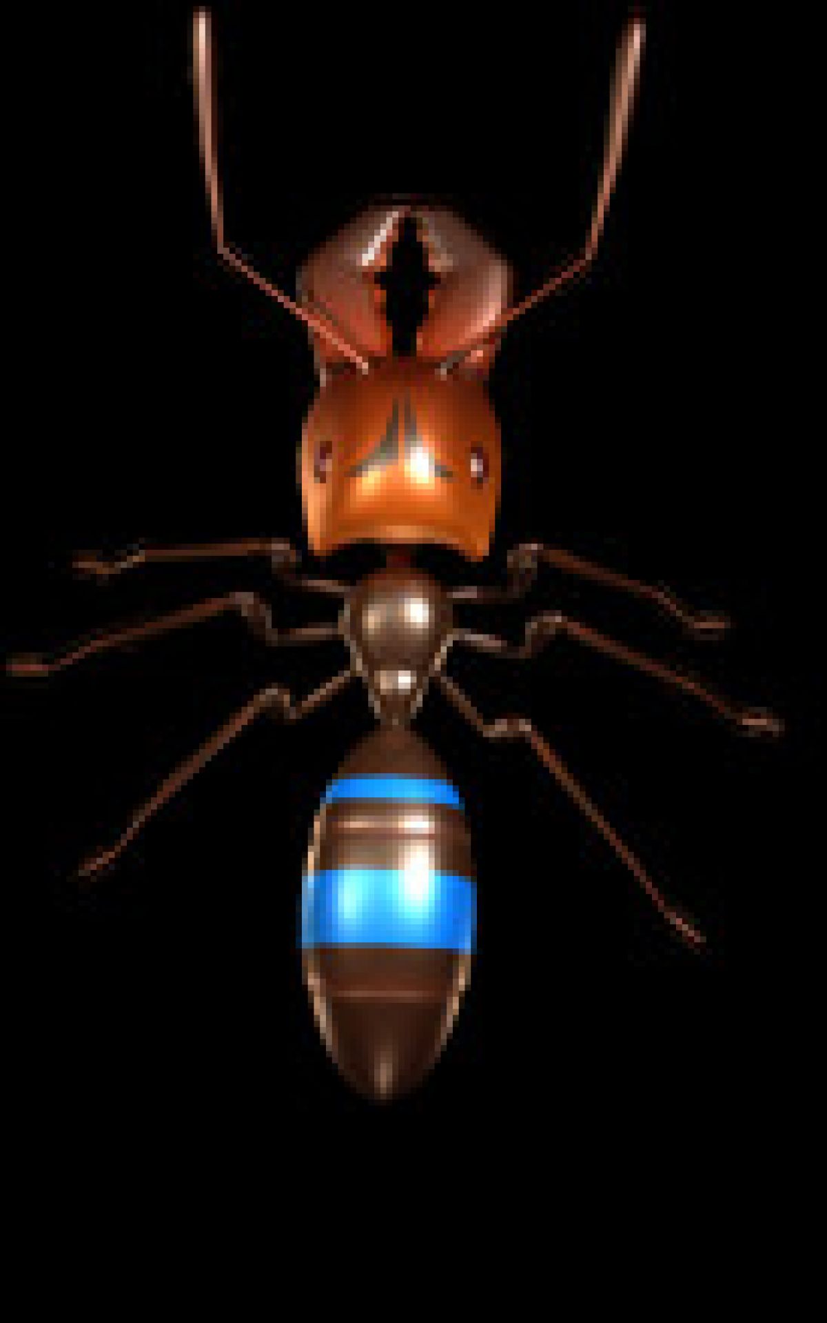 Скриншот 5 к игре Ant Queen