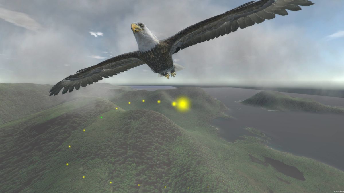 Aquila Bird Flight Simulator: обзор, публикации, гайды и релиз песочница симулятор  игры Aquila Bird Flight Simulator