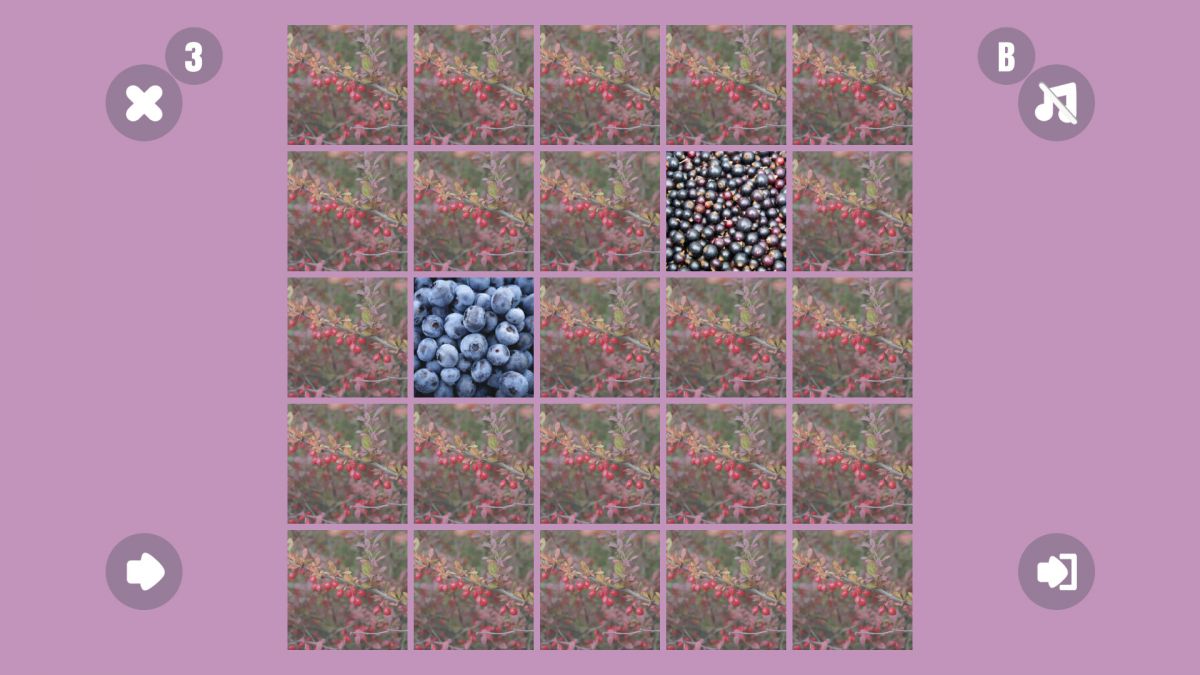 Скриншот 5 к игре Berry couple