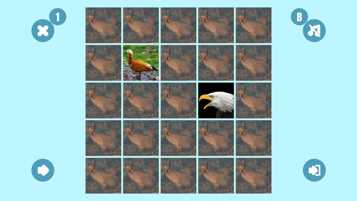 Скриншот 5 к игре Bird couple