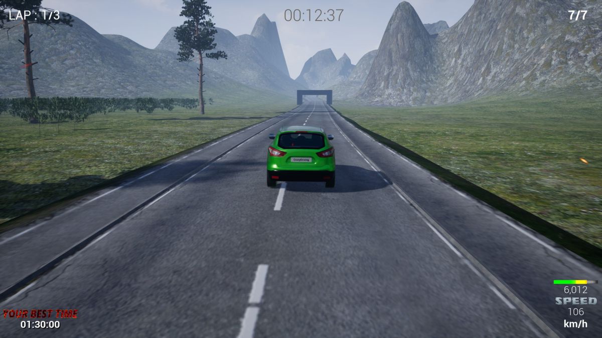Скриншот 6 к игре CrazyDriving