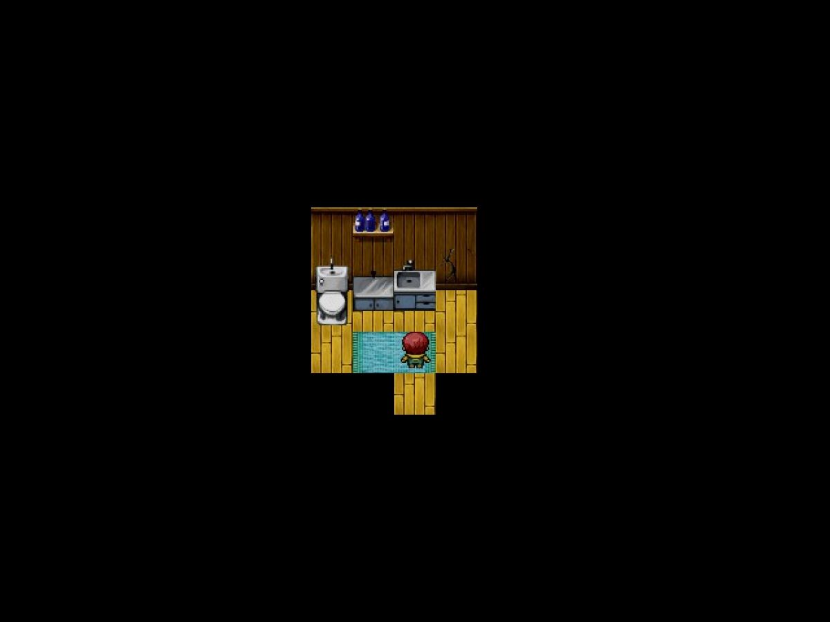 Скриншот 7 к игре Lost and Found RPG