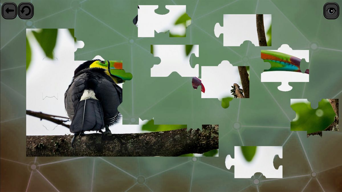 Скриншот 6 к игре Puzzles for smart: Birds