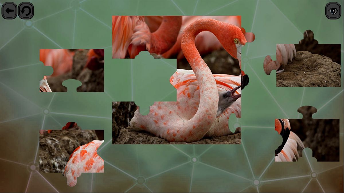 Скриншот 7 к игре Puzzles for smart: Birds