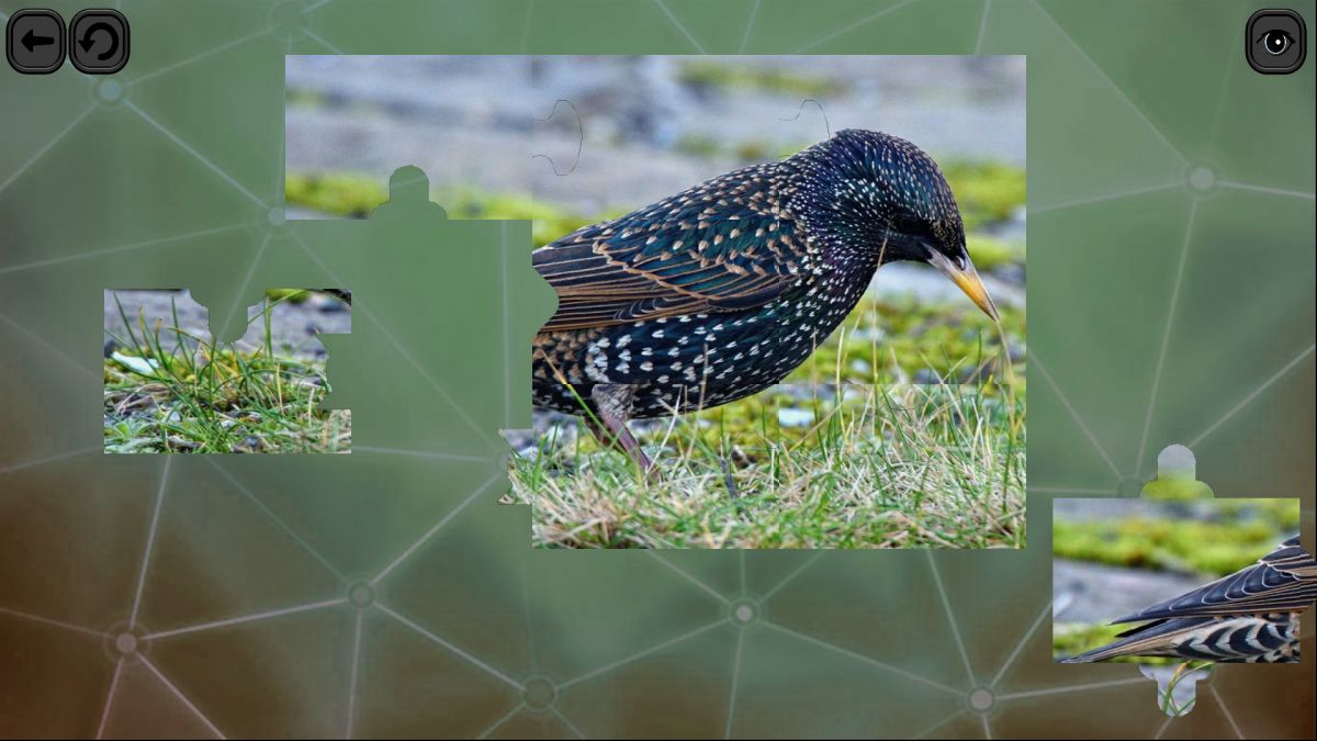 Скриншот 12 к игре Puzzles for smart: Birds