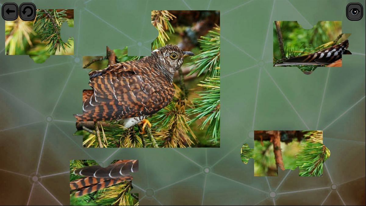 Скриншот 17 к игре Puzzles for smart: Birds
