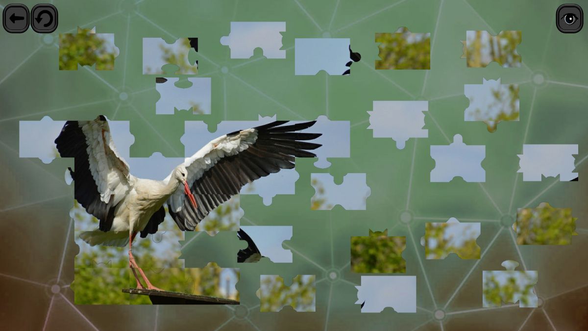 Скриншот 20 к игре Puzzles for smart: Birds