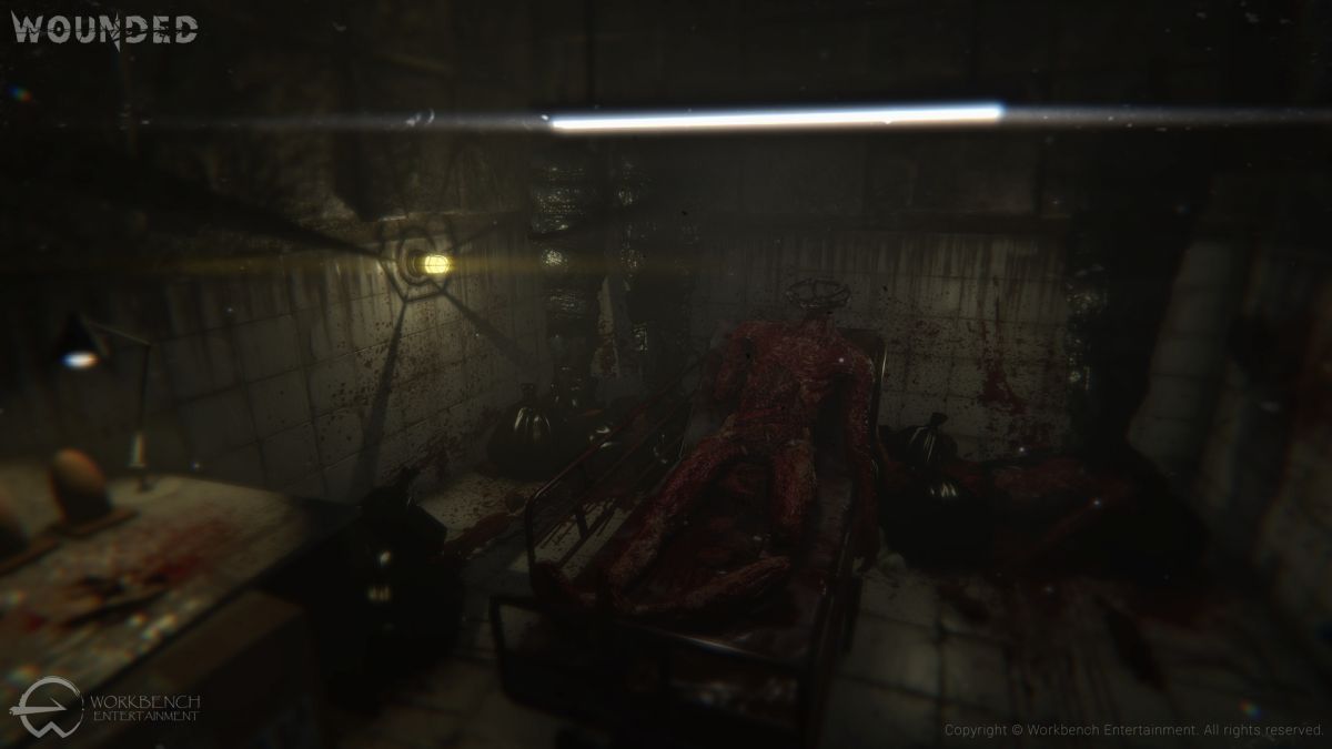 Скриншот 8 к игре Wounded - The Beginning