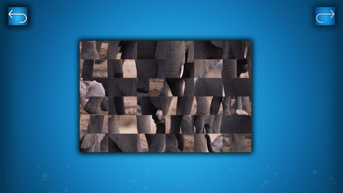 Скриншот 6 к игре PUZZLE: ANIMALS