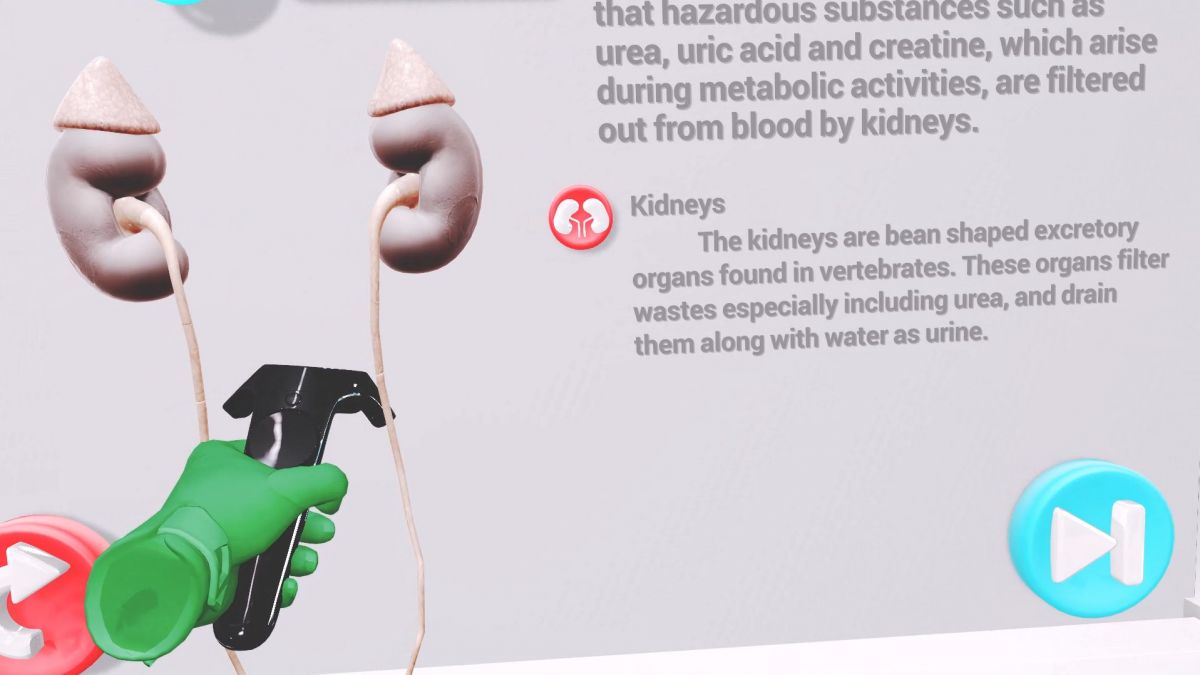 Скриншот 5 к игре VRLab Academy Anatomy VR