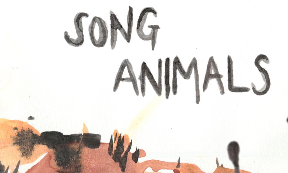 Скриншот 5 к игре Song Animals