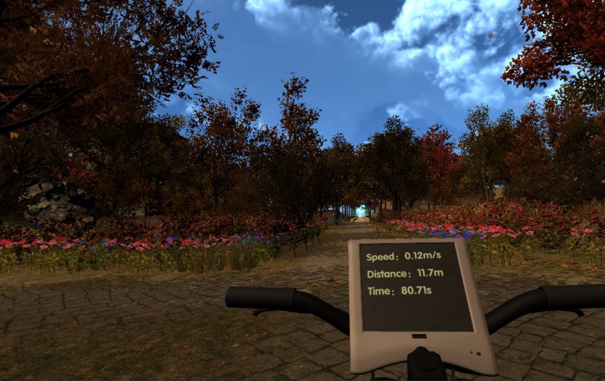 Скриншот 5 к игре VR health care (aerobic exercise): VR sport and cycling in Maya gardens