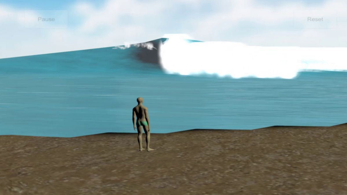 Скриншот 5 к игре The Endless Summer - Search For Surf