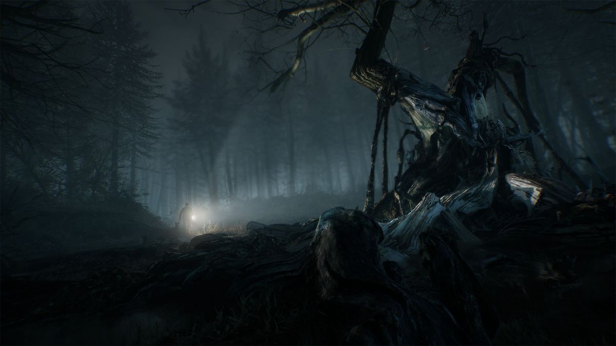 Скриншот 5 к игре Blair Witch