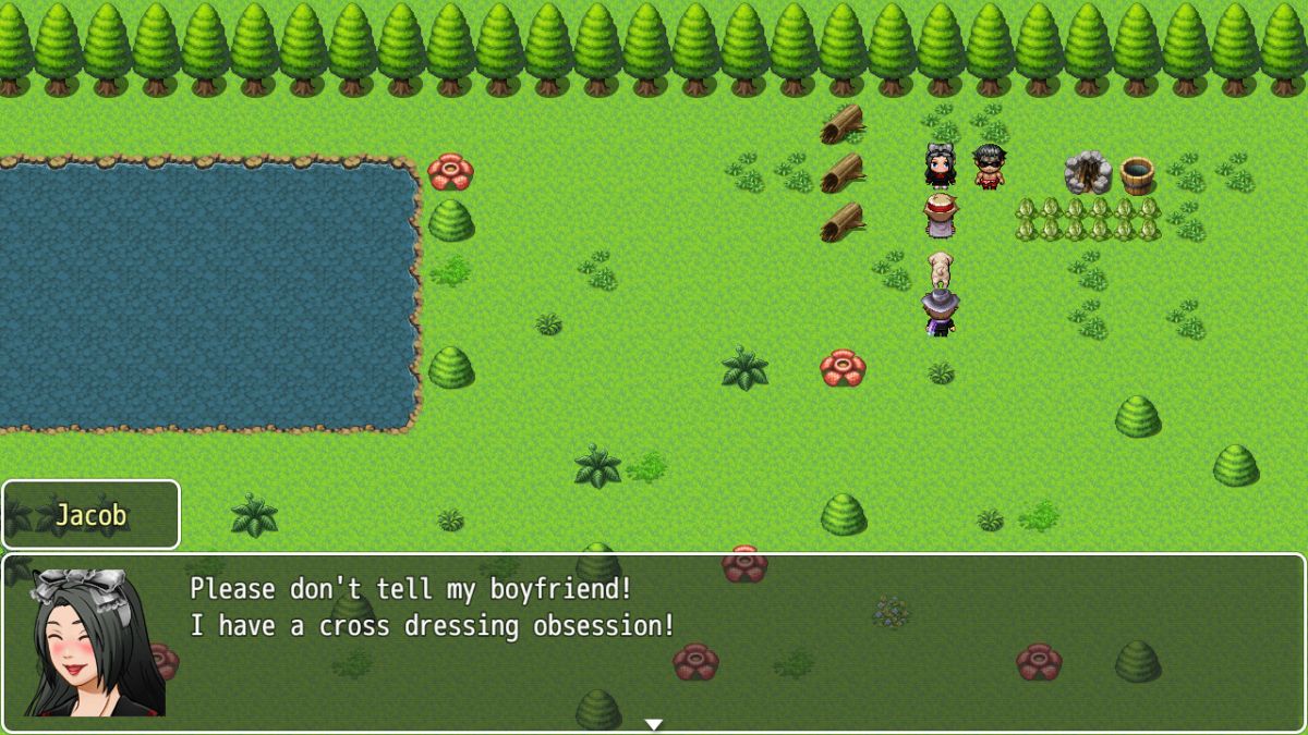 Скриншот 5 к игре Hero Of The Forest