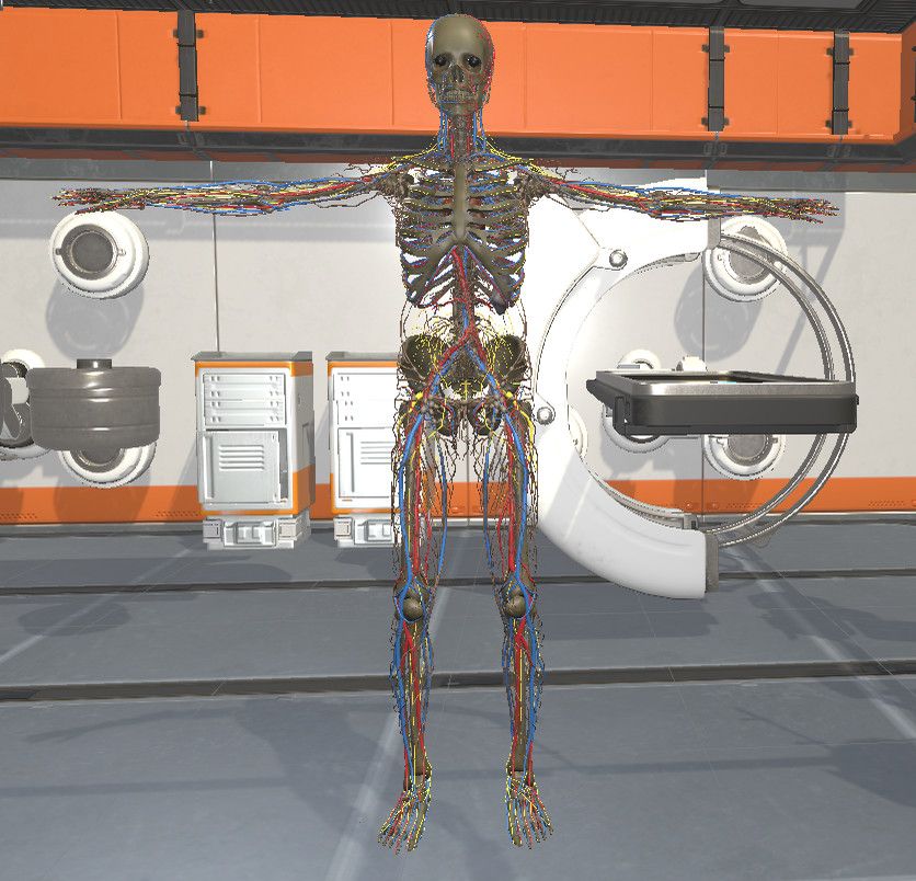 Скриншот 7 к игре Surgical Study and 3D Skeletons for Medical School Students
