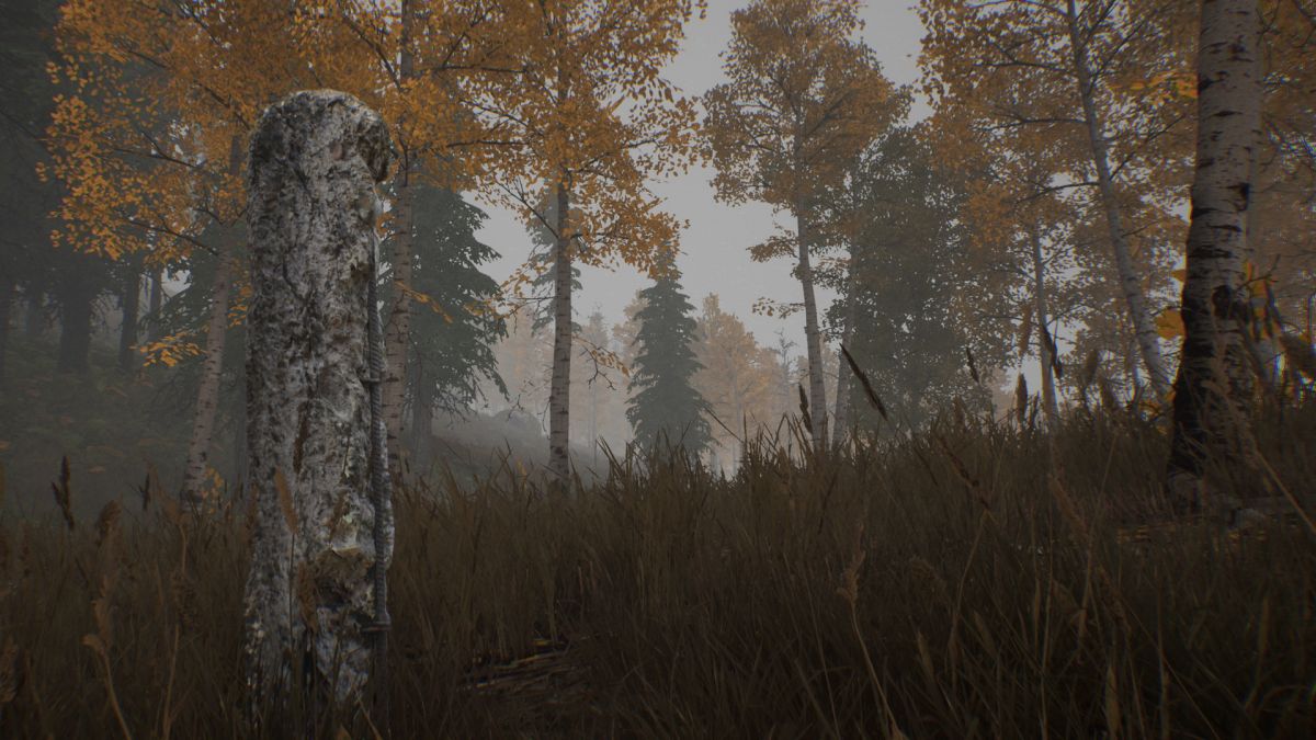 Скриншот 5 к игре 30km survival zone: Chernobyl