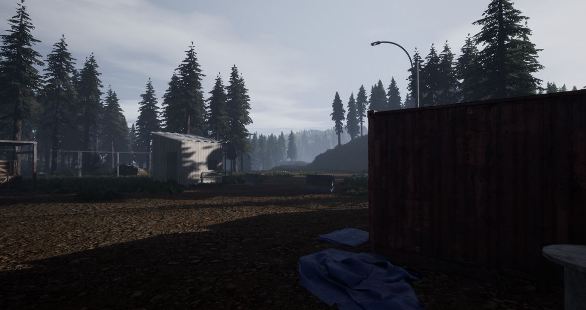 Скриншот 5 к игре REBORN: Survival