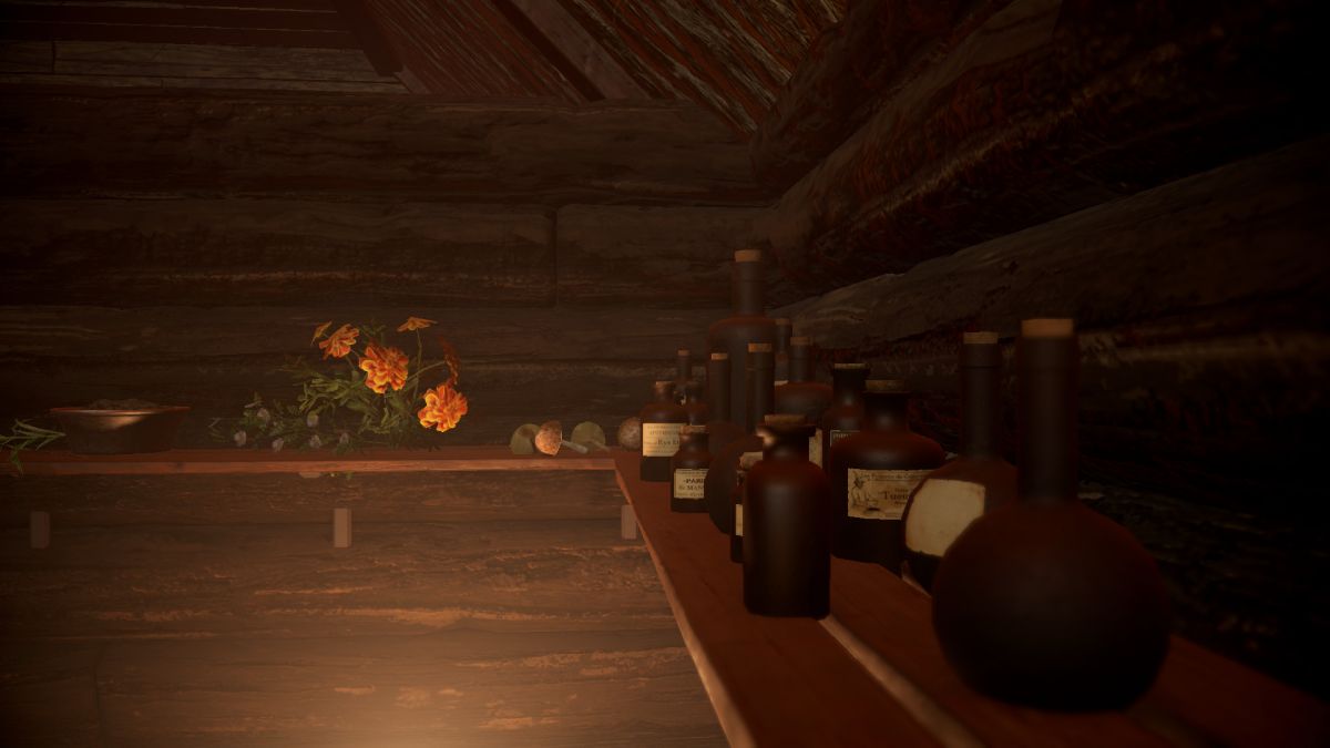 Скриншот 7 к игре Volhv: Memoir of the Witch Doctor