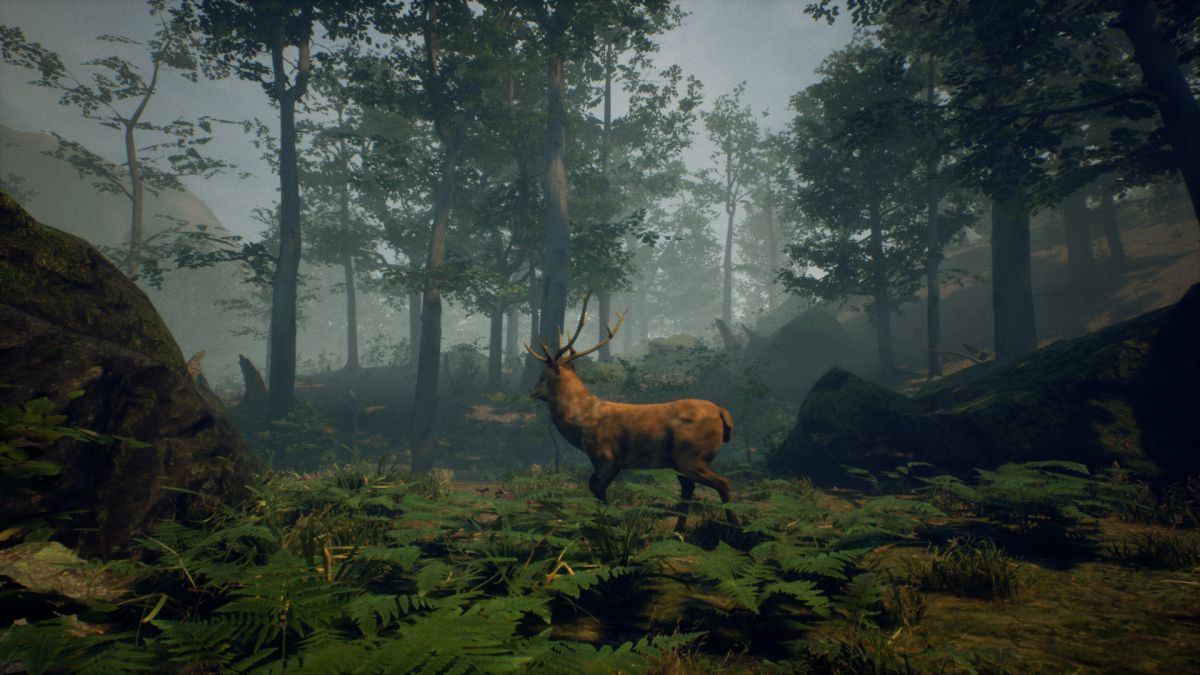 Скриншот 6 к игре Folklore Hunter