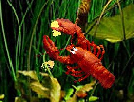 Скриншот 5 к игре Aquarium Life