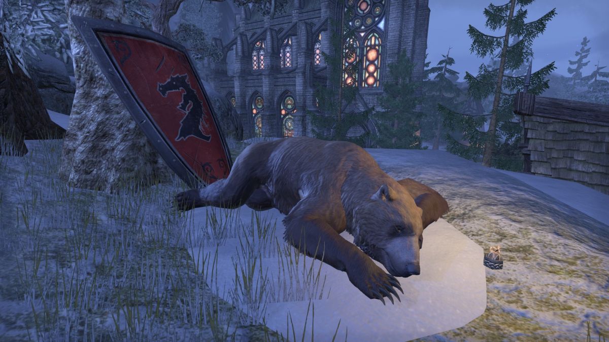 Создатели The Elder Scrolls Online почтят память погибшего игрока, установив мемориал в игре
